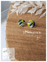 20250404_161535_0004[1].png